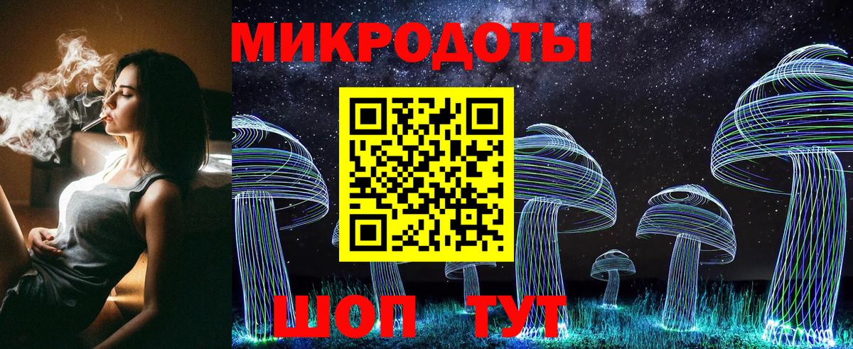 Псилоцибиновые грибы Psilocybine cubensis Дивногорск