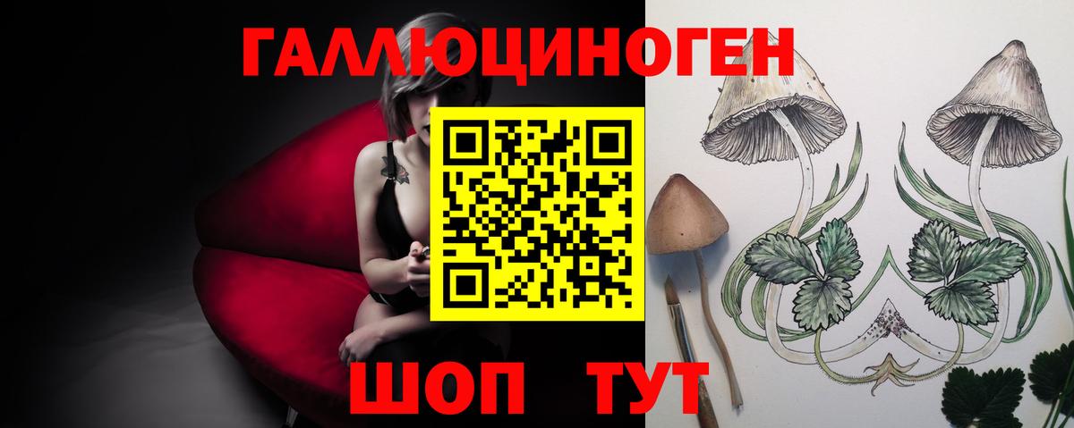Псилоцибиновые грибы Psilocybine cubensis  Вход с VPN  Галлюциногенные грибы мухоморы  Дивногорск 